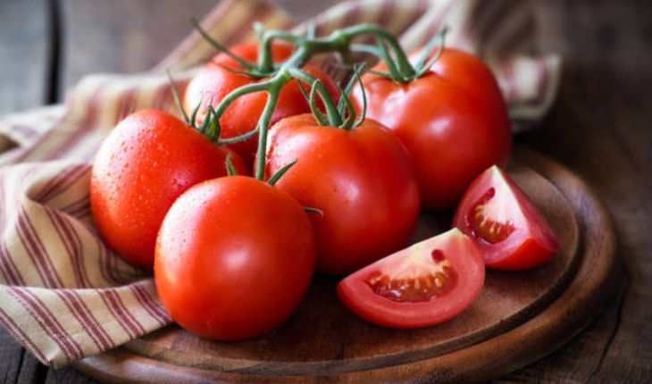 Fresh Tomato Exporter NS Global Trade Exports