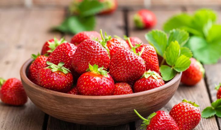 Fresh Strawberry Exporter NS Global Trade Exports