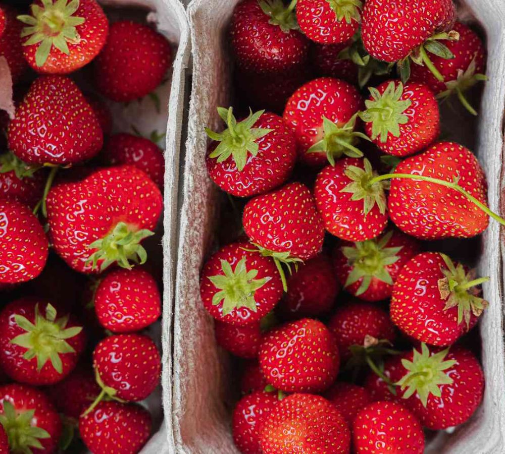 Fresh Strawberry Exporter