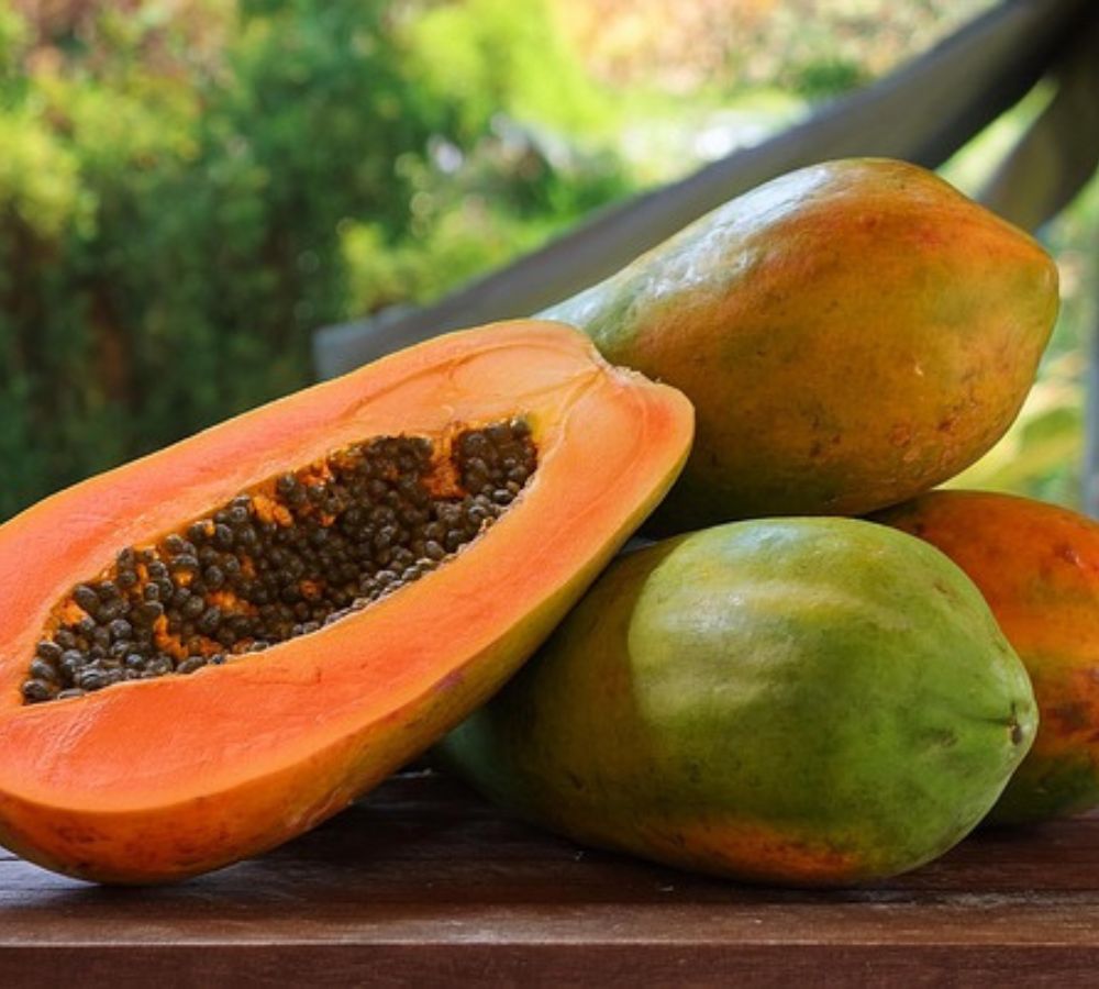 Fresh Papaya Supplier