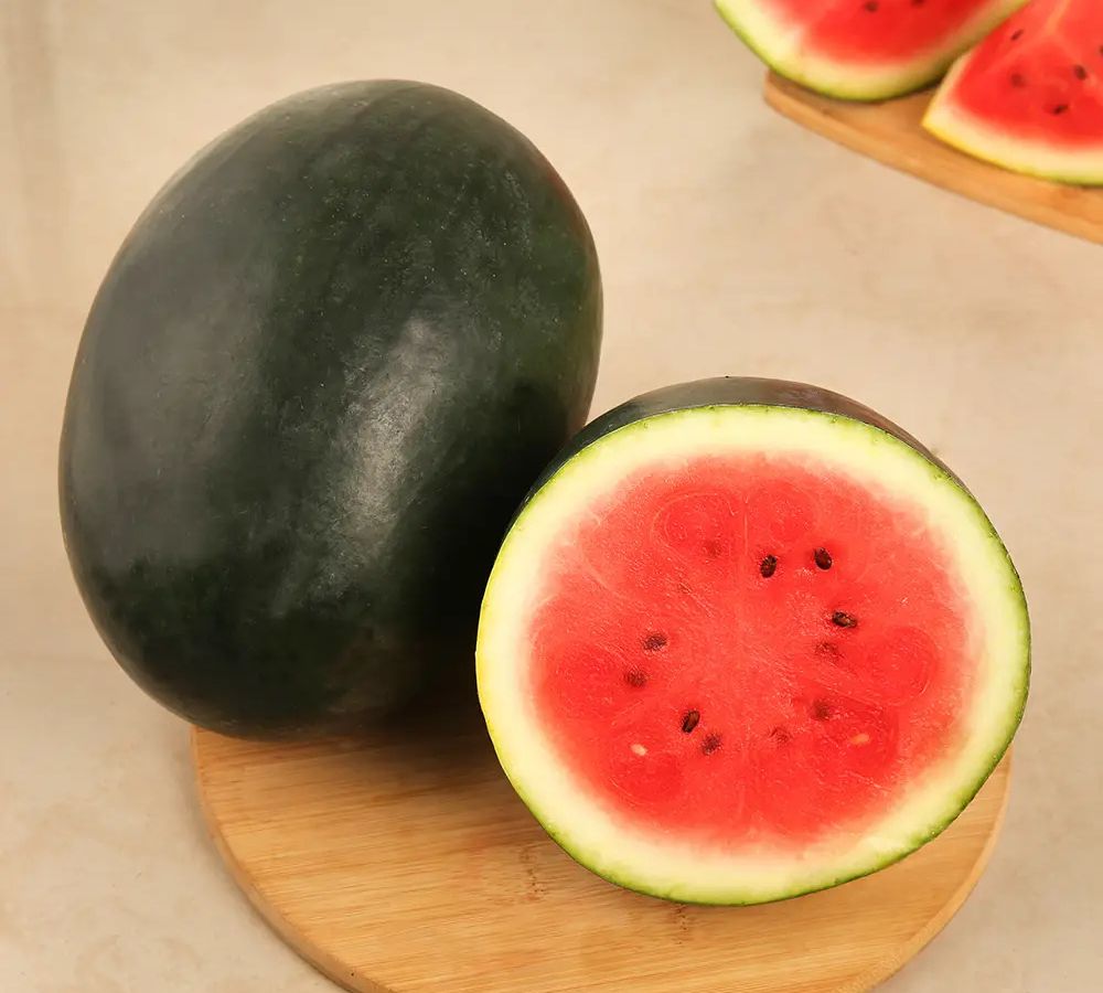 Watermelon Exporter